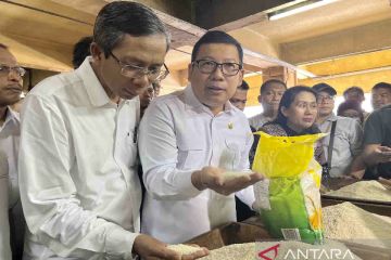 Bapanas: Harga pangan di Jakarta stabil jelang Natal dan Tahun Baru