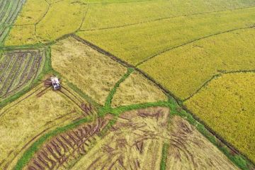 Survei tanah nasional ke-3 China catat kemajuan signifikan