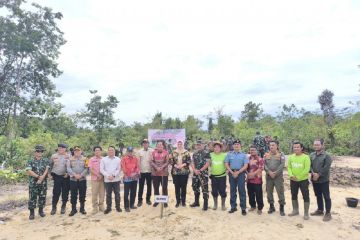 PT TAM-Korem 045 tanam 22.000 kayu putih rehabilitasi DAS Basel