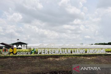 Persemaian bibit skala besar siap dukung rehabilitasi hutan dan lahan