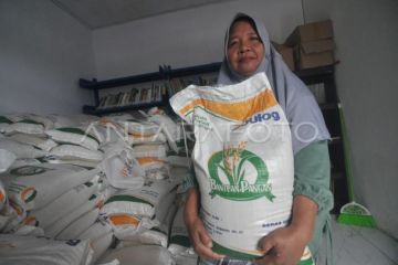 Penyaluran bantuan pangan pemerintah di Bengkulu