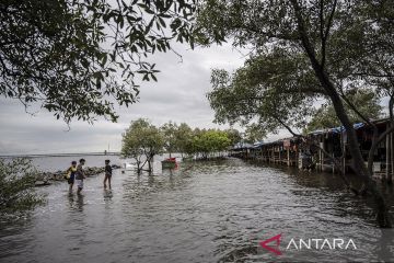 Tinggi muka air di Pos Pantau Pintu Air Pasar Ikan siaga II