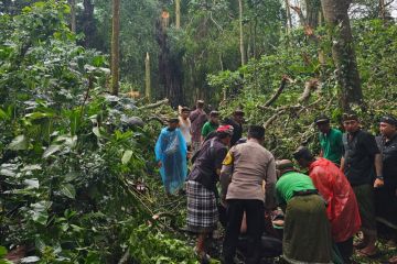 Terpopuler, bayi tertukar di Jakpus hingga WNA meninggal di Bali