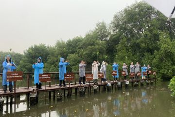 BRGM ajak delegasi Hakim Lingkungan Tiongkok tinjau ekosistem mangrove