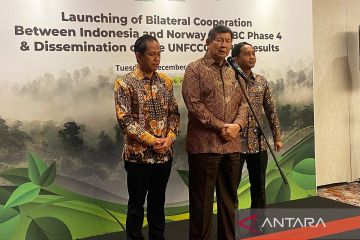 Pemerintah rencanakan program reforestasi masif sasar lahan kritis