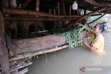 Delapan desa masih tergenang banjir di Jombang