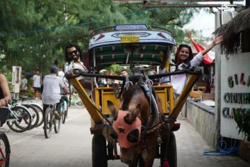 Pemerintah promosikan Bali dan Lombok kepada wisatawan India