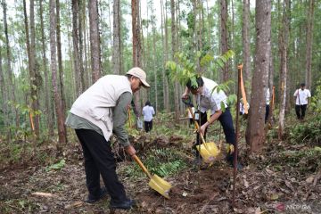 Sepekan, Panglima TNI mutasi 300 pati hingga pindah ke IKN 2028