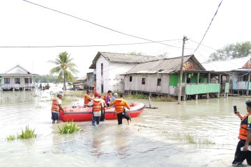 Ratusan rumah di Sragi Lampung Selatan terendam banjir rob