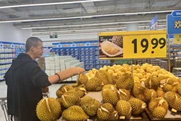 Durian "cita rasa baru" raih popularitas, buka peluang bisnis di ASEAN