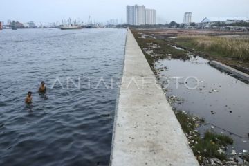 SDA: Pembangunan tanggul pesisir terkendala pengadaan dan nelayan