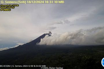 Semeru kembali erupsi dengan letusan setinggi 800 meter di atas puncak