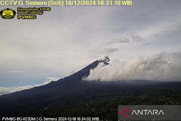 Semeru kembali erupsi dengan letusan setinggi 800 meter di atas puncak