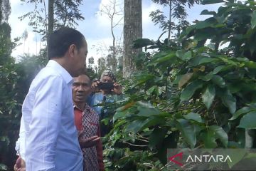 Jokowi minta petani kopi Temanggung pertahankan petik merah