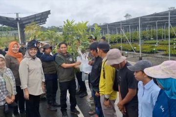 Kemenhut sediakan ribuan bibit pohon gratis di persemaian Mentawir