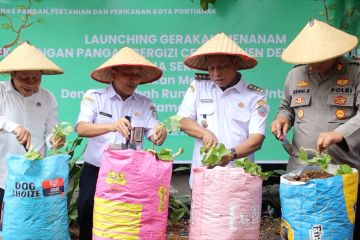 Gerakan menanam pangan bergizi cepat panen di Pontianak