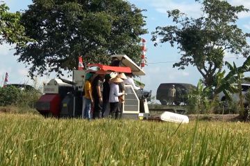 Sumsel siap cetak 150 ribu hektare sawah baru pada 2025