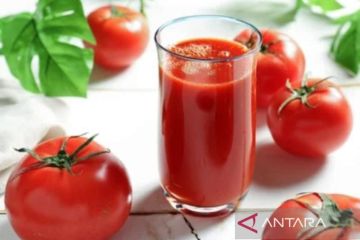 Kemarin, manfaat tomat hingga penjualan BYD melonjak imbas harga BBM
