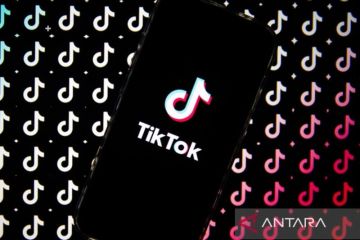Sederet selebriti beri tanggapan atas pemblokiran TikTok di AS