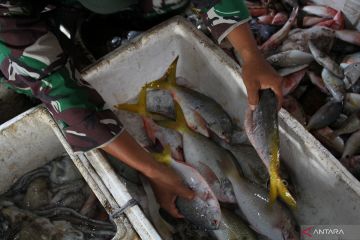 Target swasembada pangan