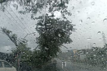 BMKG: Bandung dan sejumlah wilayah di Indonesia berpotensi hujan disertai petir