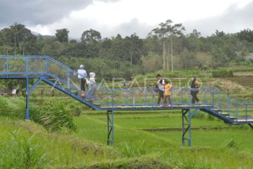 Penurunan nilai alokasi dana desa Provinsi Bengkulu