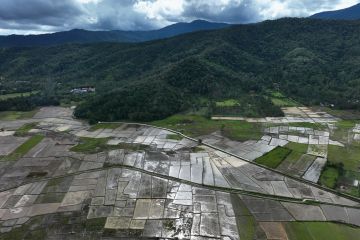 Pelarangan ubah alih fungsi lahan pertanian