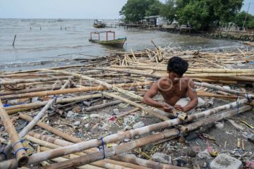 Nelayan manfaatkan bambu hasil pembongkaran pagar laut