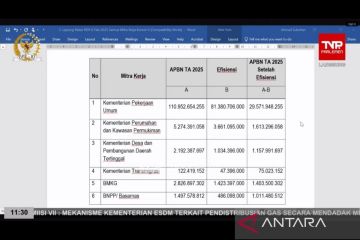 Kementerian PKP revisi efisiensi, pagu anggaran jadi Rp3,462 T