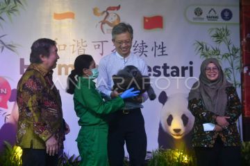 Kunjungan Dubes RRT di Istana Panda TSI Bogor