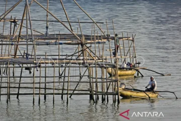 Kontribusi subsektor perikanan NTB