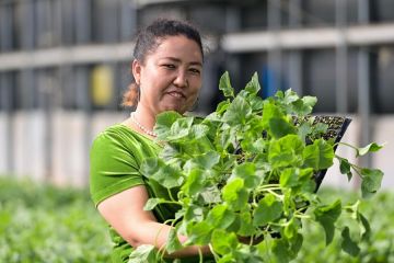 Pakar Mesir dan China soroti perkembangan Xinjiang