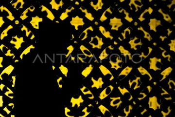 Shalat tarawih pertama bulan Ramadhan 1446 Hijriah di NTB