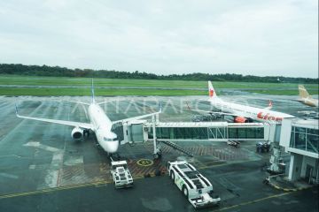 Pemerintah tanggung PPN harga tiket pesawat Lebaran 2025