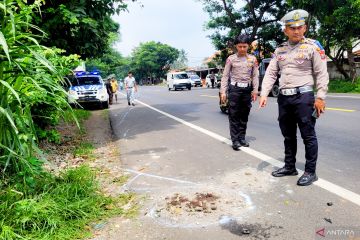 Sopir pikap ditetapkan tersangka kecelakaan tewaskan Bendum Demokrat