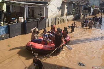 BNPB: 600 hektare sawah milik warga di Demak terendam banjir