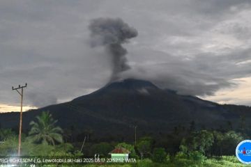 Gunung Lewotobi Laki-laki lontarkan abu setinggi 1.200 meter