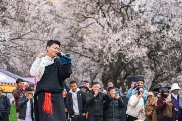 Festival budaya dan wisata bunga Persik dirayakan di Nyingchi, China