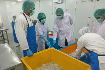 KKP tingkatkan pasar ekspor perikanan Indonesia ke Korea