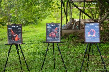 OIKN-Kemenhut-YAD komitmen lestarikan orang utan
