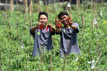 Saatnya fokus pada alih generasi petani