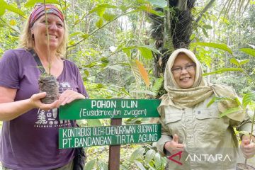 Indonesia-Kanada kolaborasi tanam 100 pohon ulin di Hari Bumi Sedunia