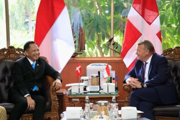 Kemendagri dan Denmark akan kerja sama perkuat pemadam kebakaran
