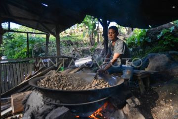 Pengolahan kacang rendang Pasaman