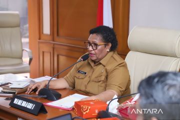 Wamendagri minta jajaran Pemprov Papua sukseskan PSU