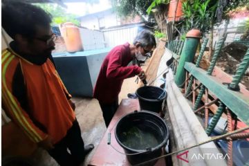 Jaktim minta warga bersihkan lingkungan usai temuan 524 kasus DBD
