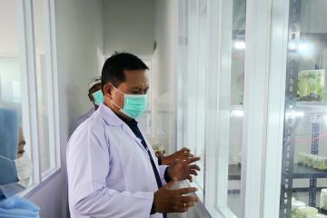 Wali Kota Maidi resmikan laboratorium kultur jaringan Kota Madiun