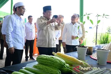 Presiden hormati kebijakan tarif Trump, tetapi sebut RI berdikari
