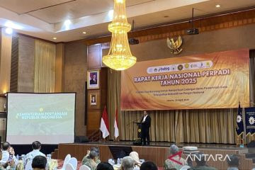 Kemarin, stok beras 4 ton hingga aksi beli asing di bursa karbon