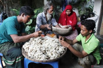 Budi daya ulat sutra dengan metode berkelanjutan